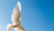The three symbols of the Holy Spirit in the Bible and what they mean